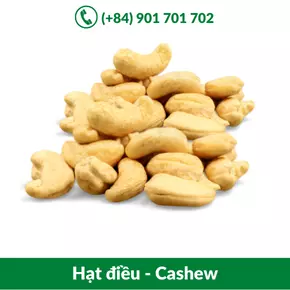 Hạt điều - Cashew_-20-09-2021-15-43-41.webp